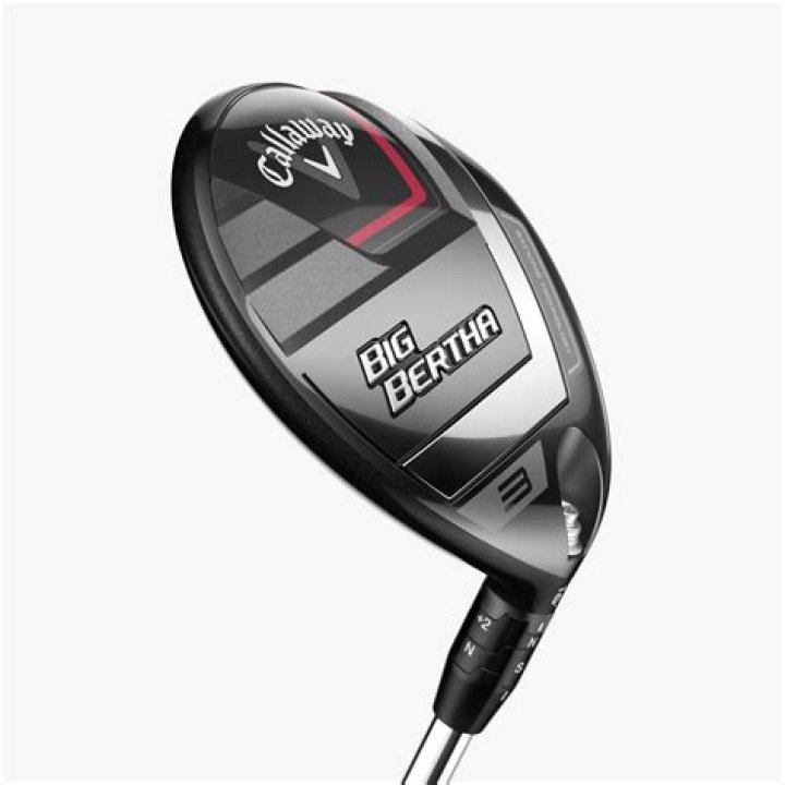 Are Big Bertha woods good for beginners?