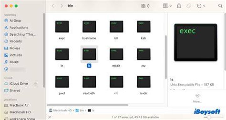Can I run UNIX commands on Mac?