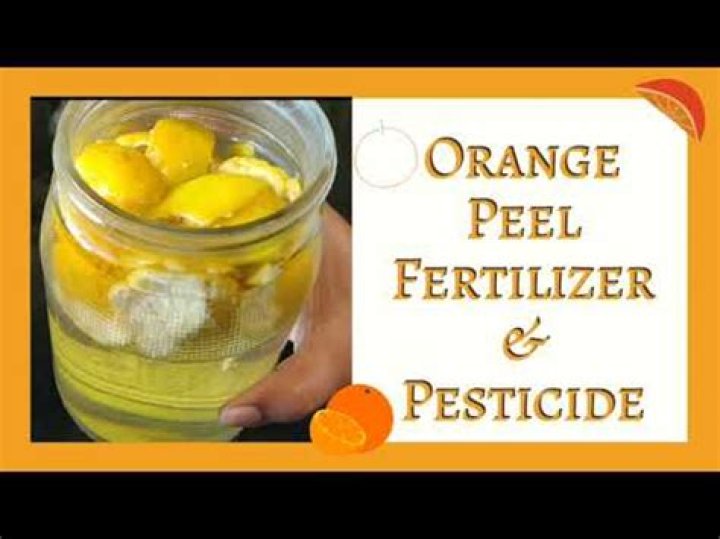Can orange peel repel fleas?