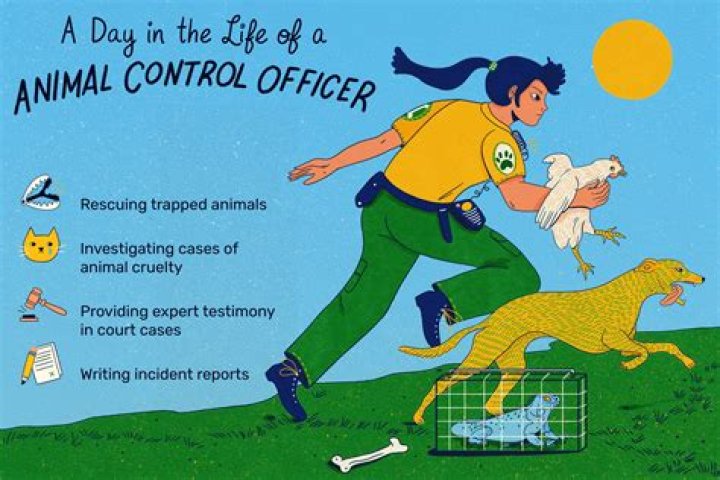 How do you become an animal control officer?