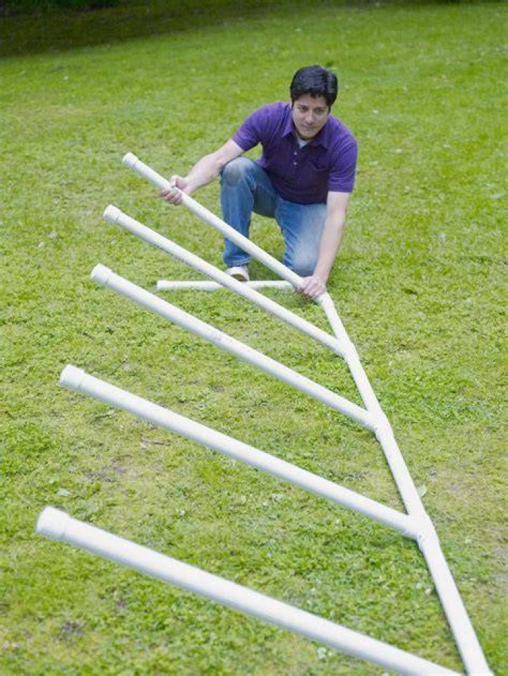 How do you make a dog obstacle course?