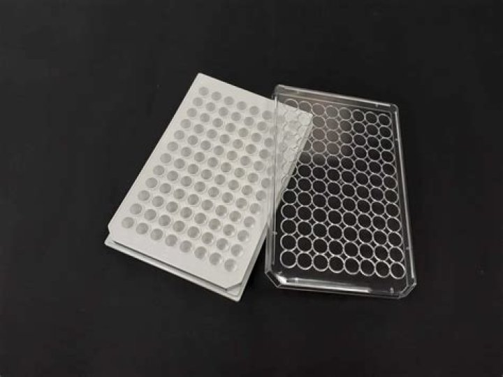 How do you store Poly-L-Lysine plates?