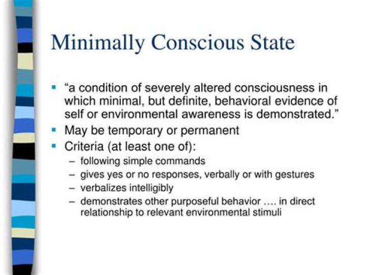 How long can you stay in minimally conscious state?