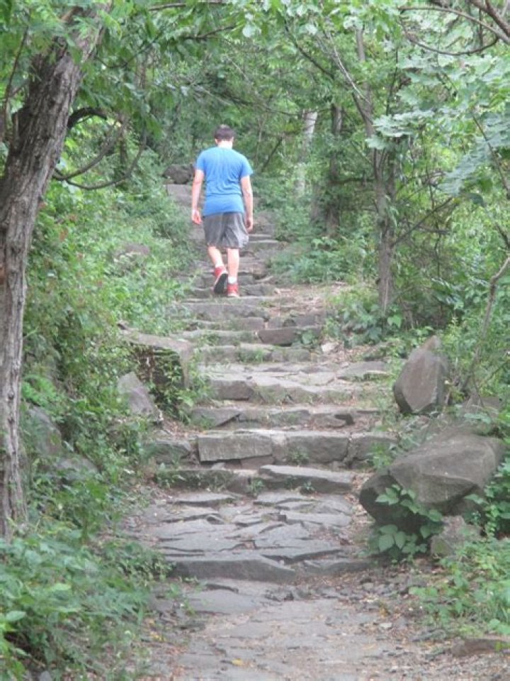 How long is Shore Trail Palisades?