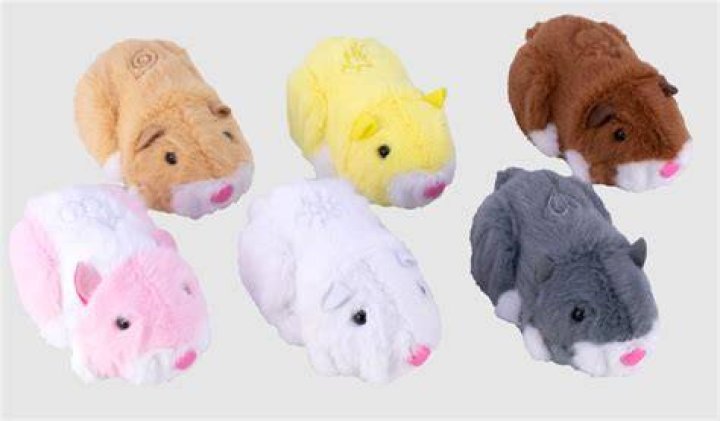 How popular is the name Zuzu?