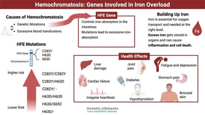 Is hemochromatosis a point mutation?