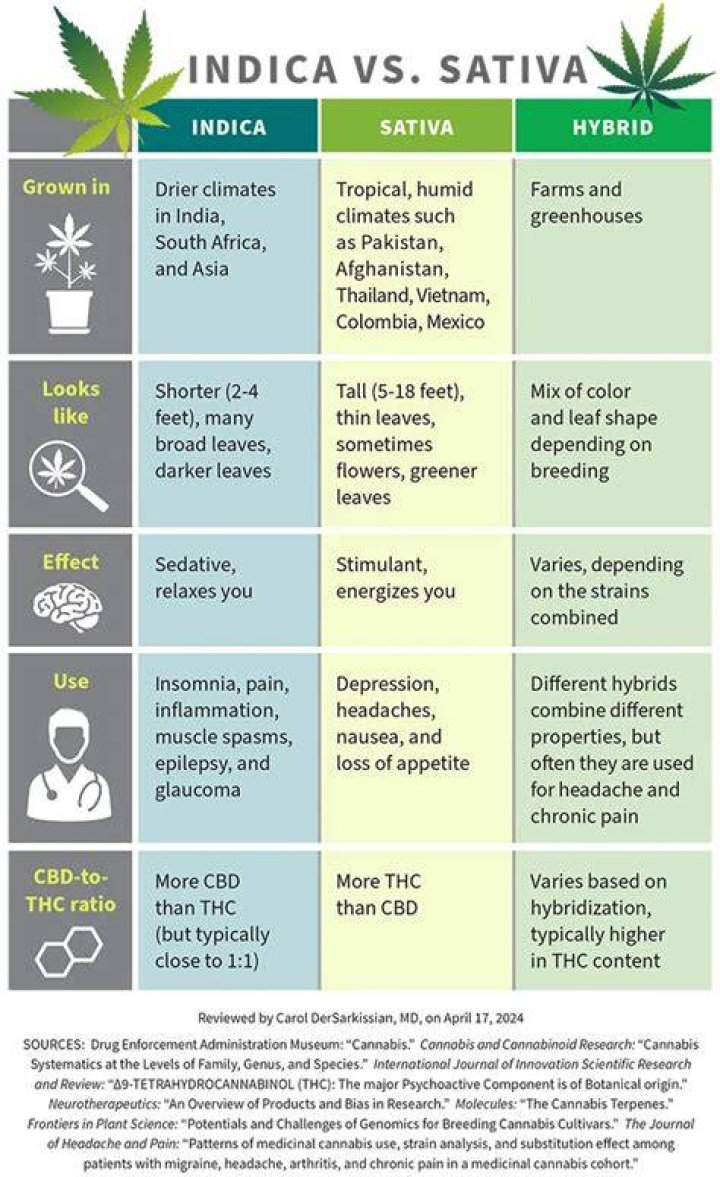 Is Skunk indica or sativa?