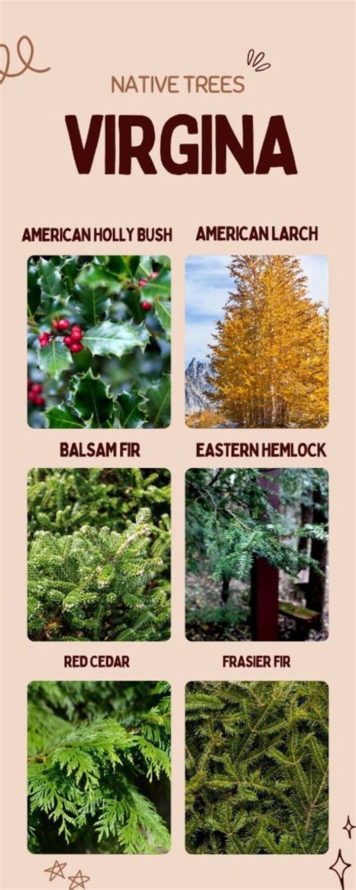 What are 5 native plants in Virginia?