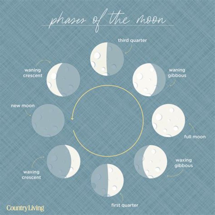 What are the phases of the moon in Maori?
