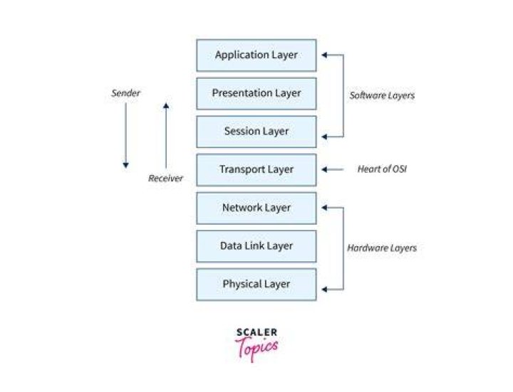 What are the protocols used in OSI layers?
