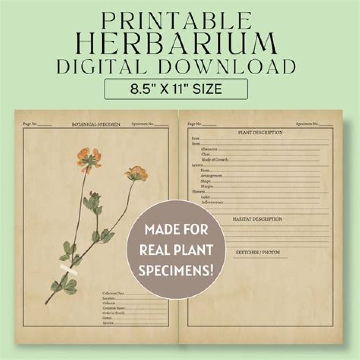 What do you write on a herbarium sheet?