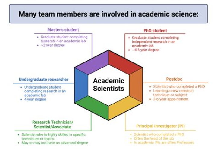 What does an academic department do?