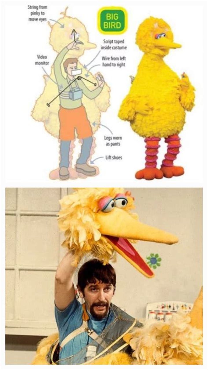 What does Big Bird say?