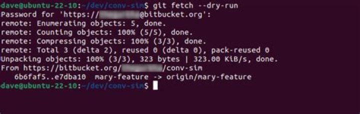 What does git fetch dry run do?