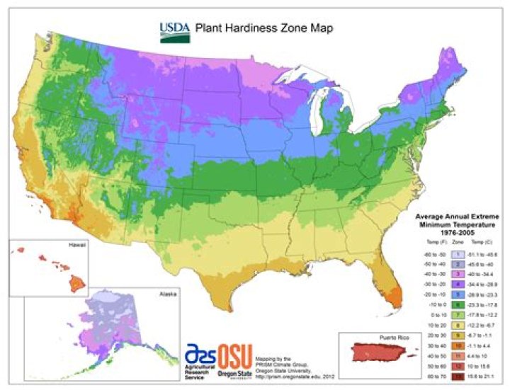 What grows well in Zone 4?