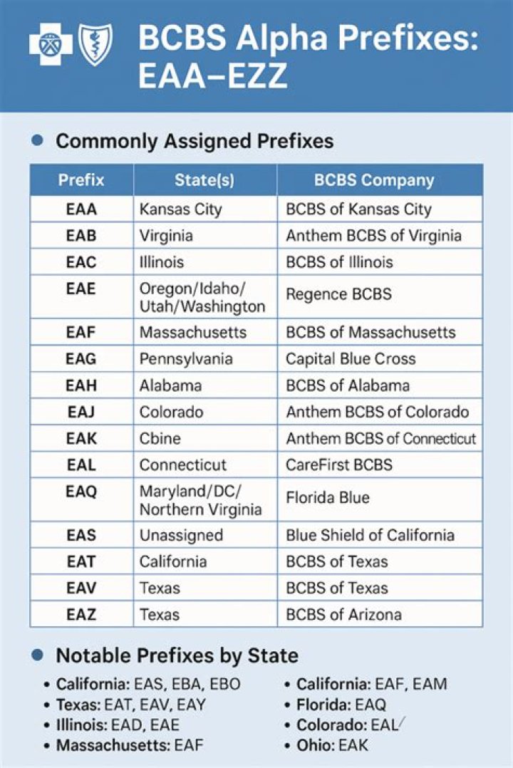 What is a alpha prefix?