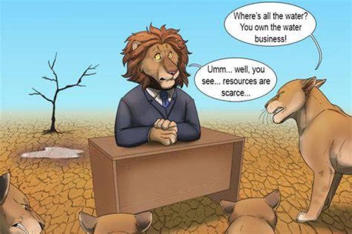 What is a scarce resource example?
