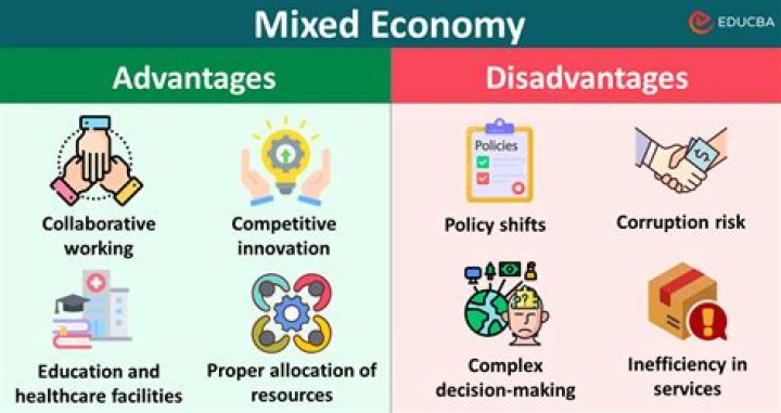 What is an example of a mixed economy?