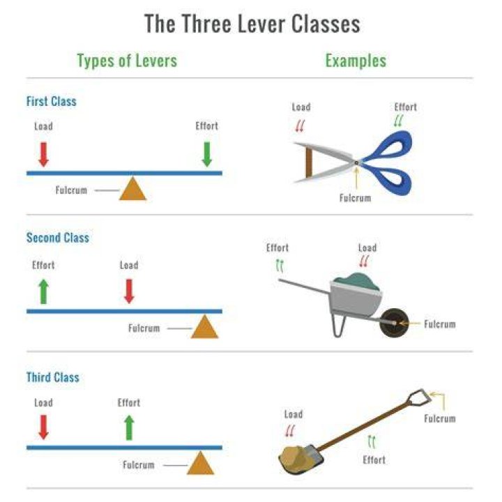 What is an example of cross-resistance?