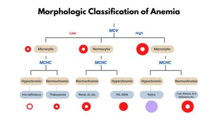 What is MCH in oncology?