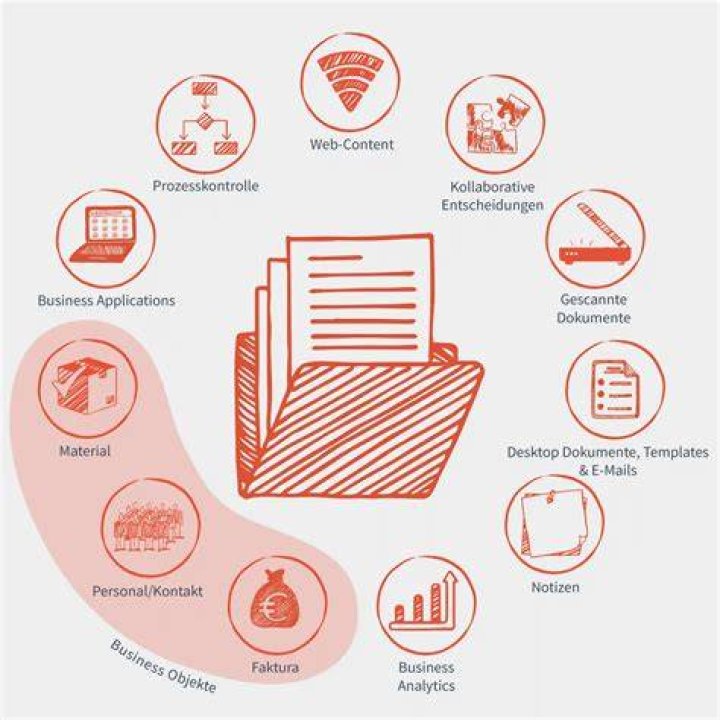 What is SAP Dispute management?