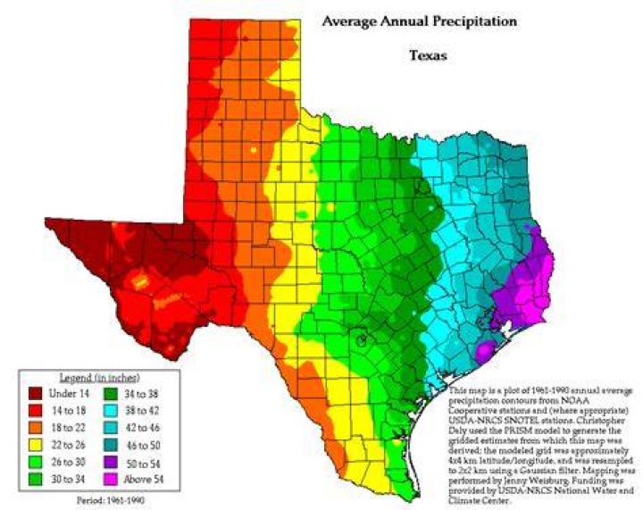 What is the annual precipitation in Texas?