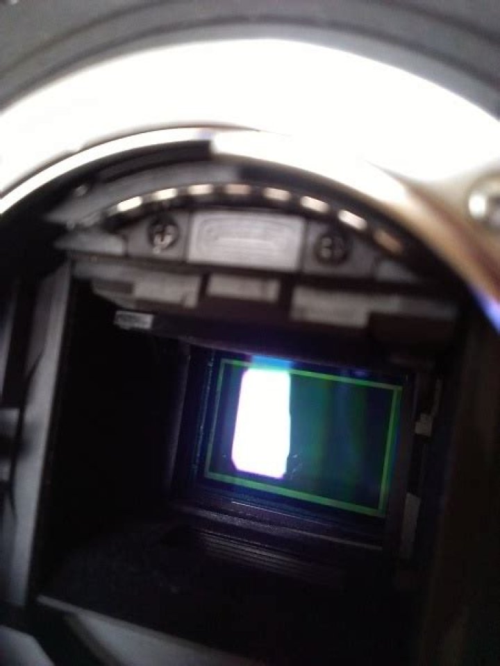 What sensor does the D7000 have?