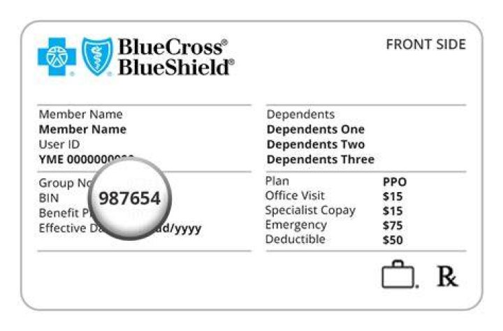 What type of insurance is Blue Advantage?