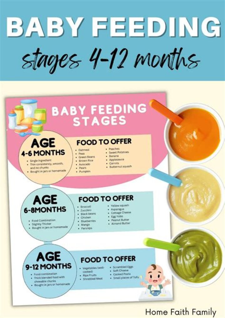 When can I give my baby stage 1 food?