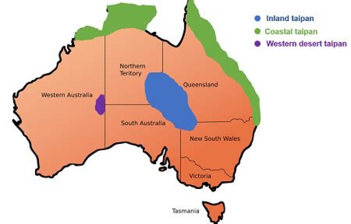 Where are Taipans found in Australia?