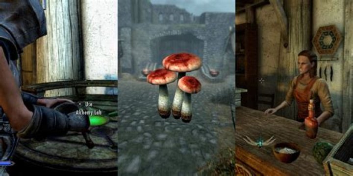 Who in Skyrim teaches alchemy?