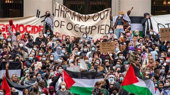 Why did most protesters oppose the war?