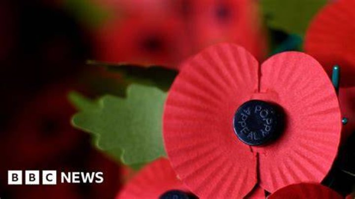 Why do Irish not wear poppies?